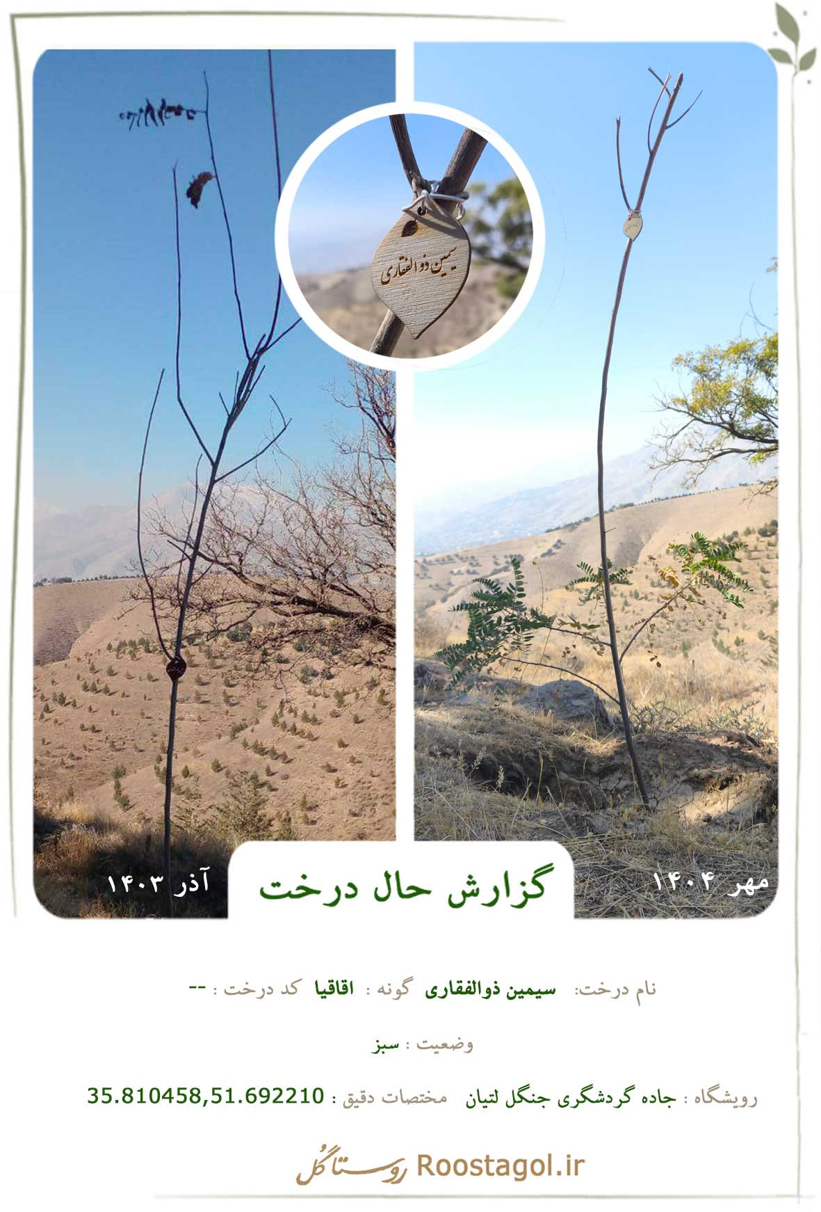 سیمین ذوالفقاری