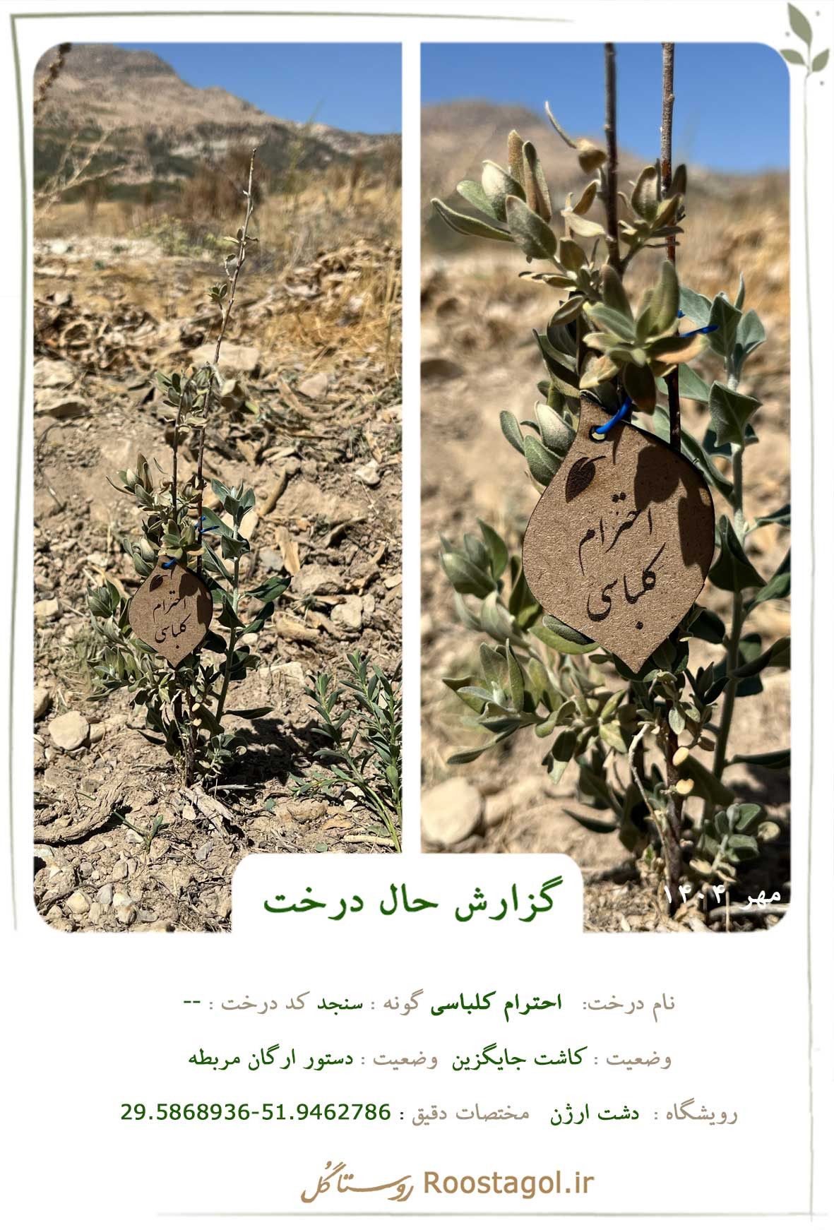 احترام کلباسی