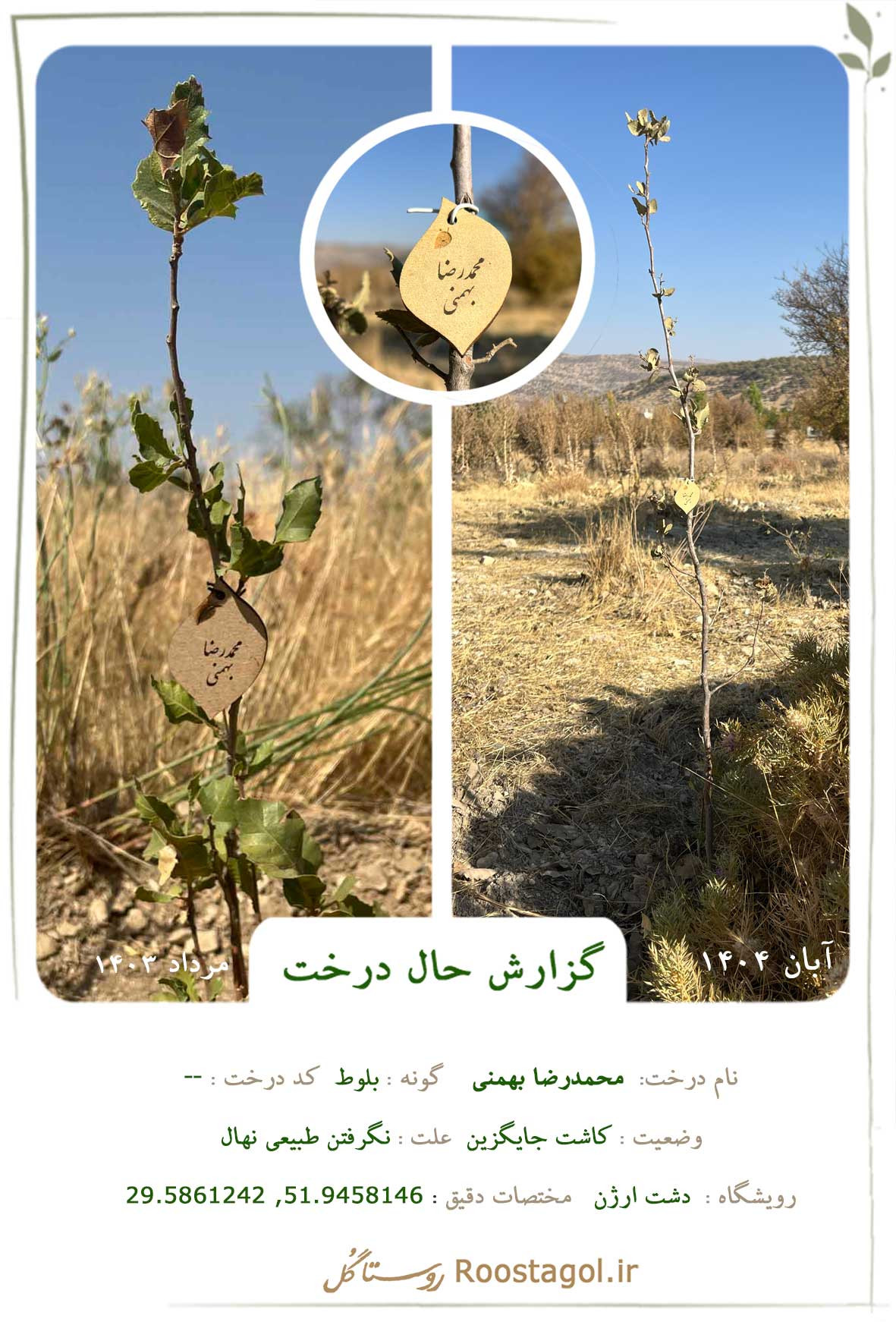 محمدرضا بهمنی 