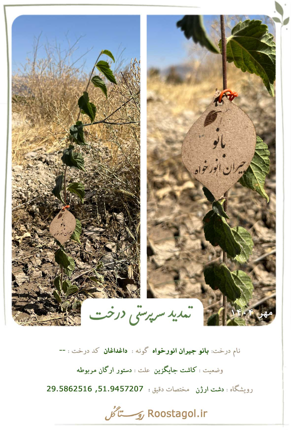 بانو جیران انورخواه