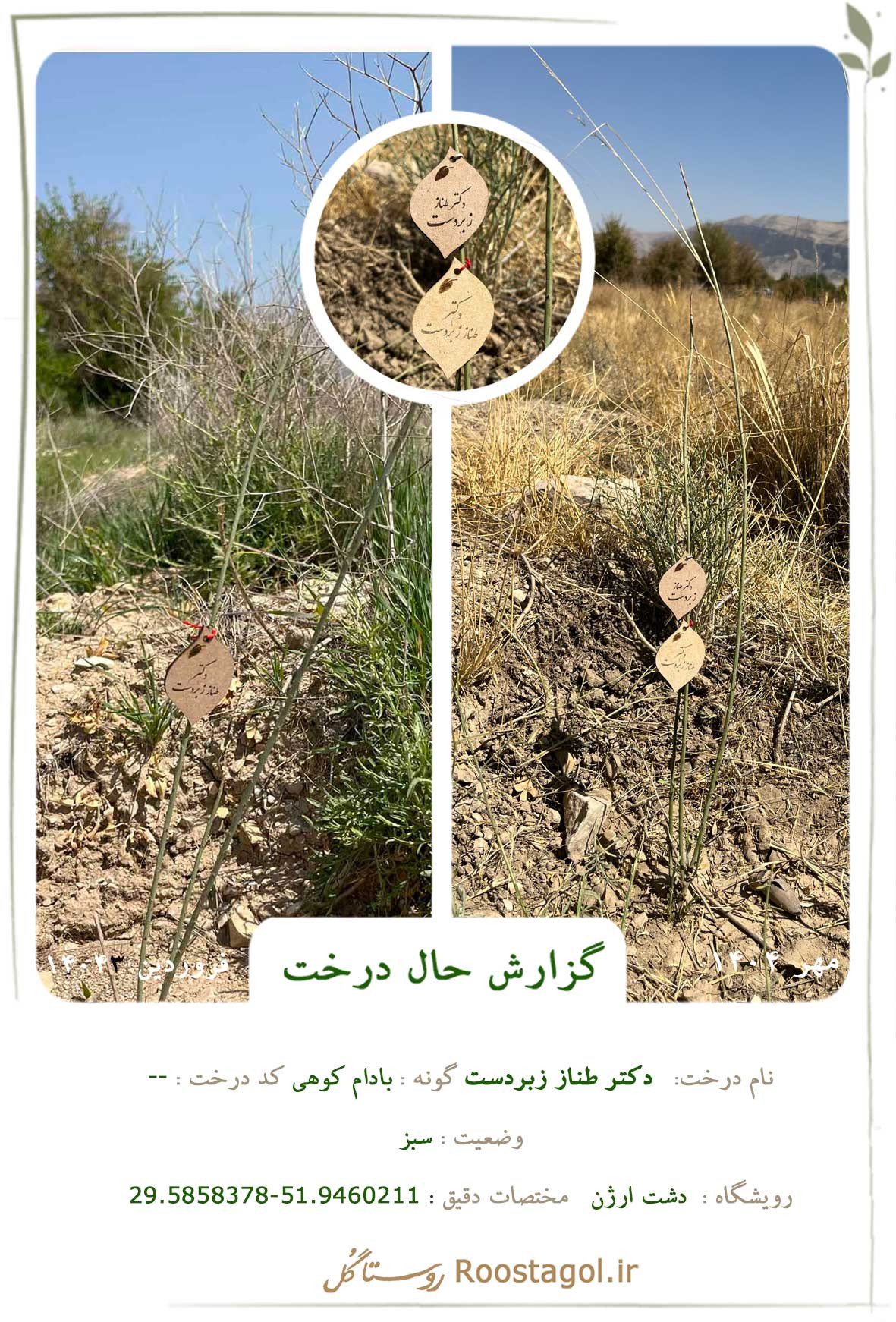  دكتر طناز زبردست