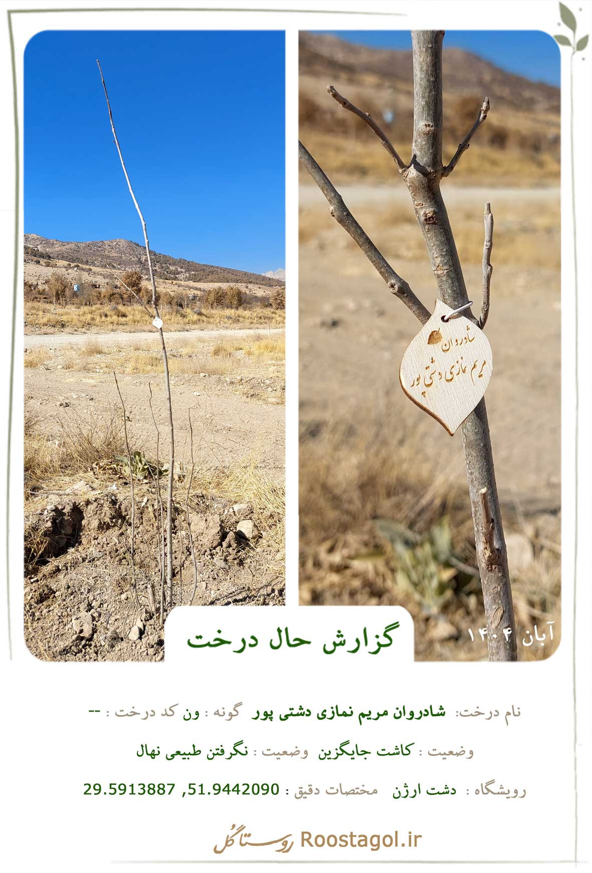 مریم نمازی دشتی پور