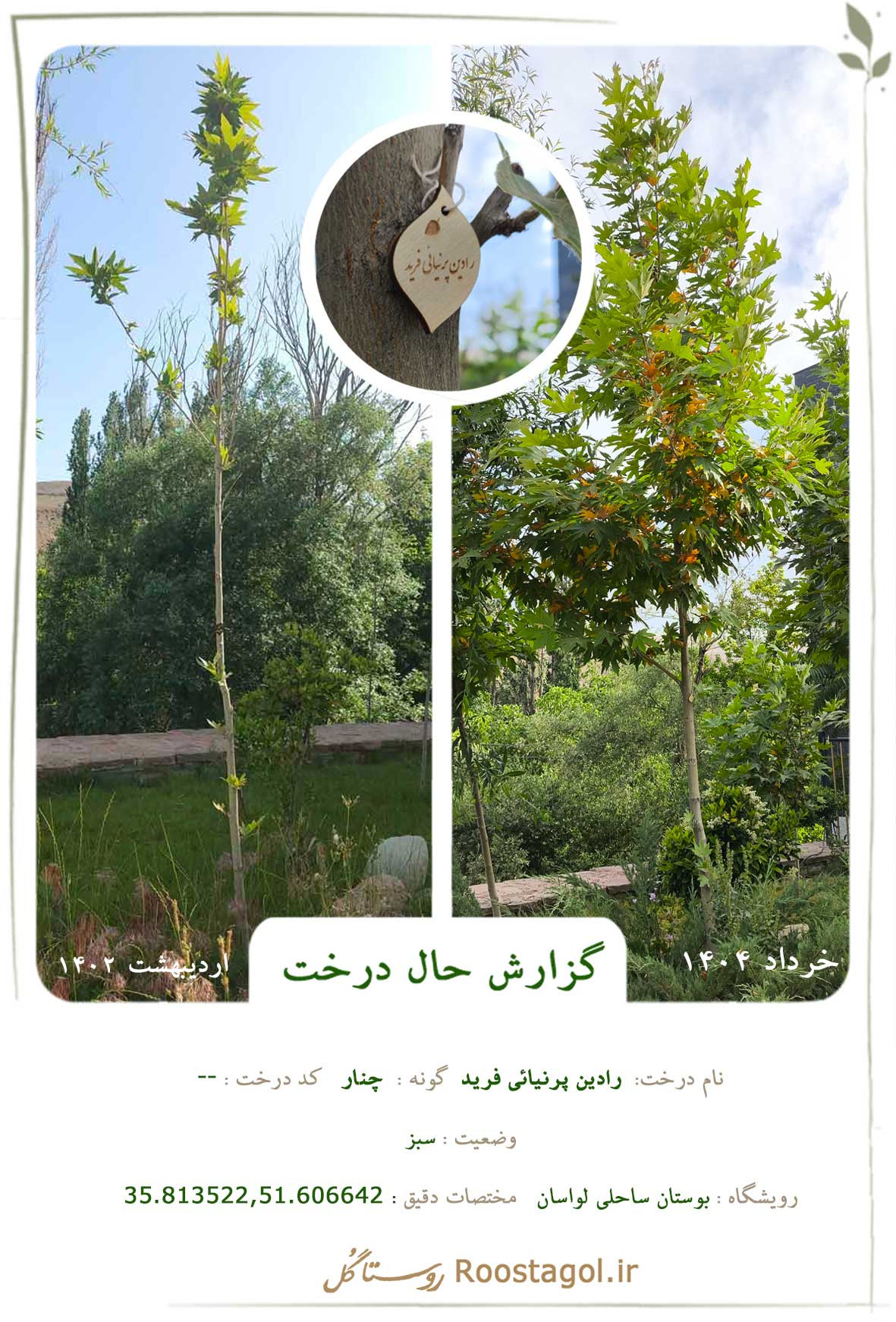  رادین پرنیائی فرید