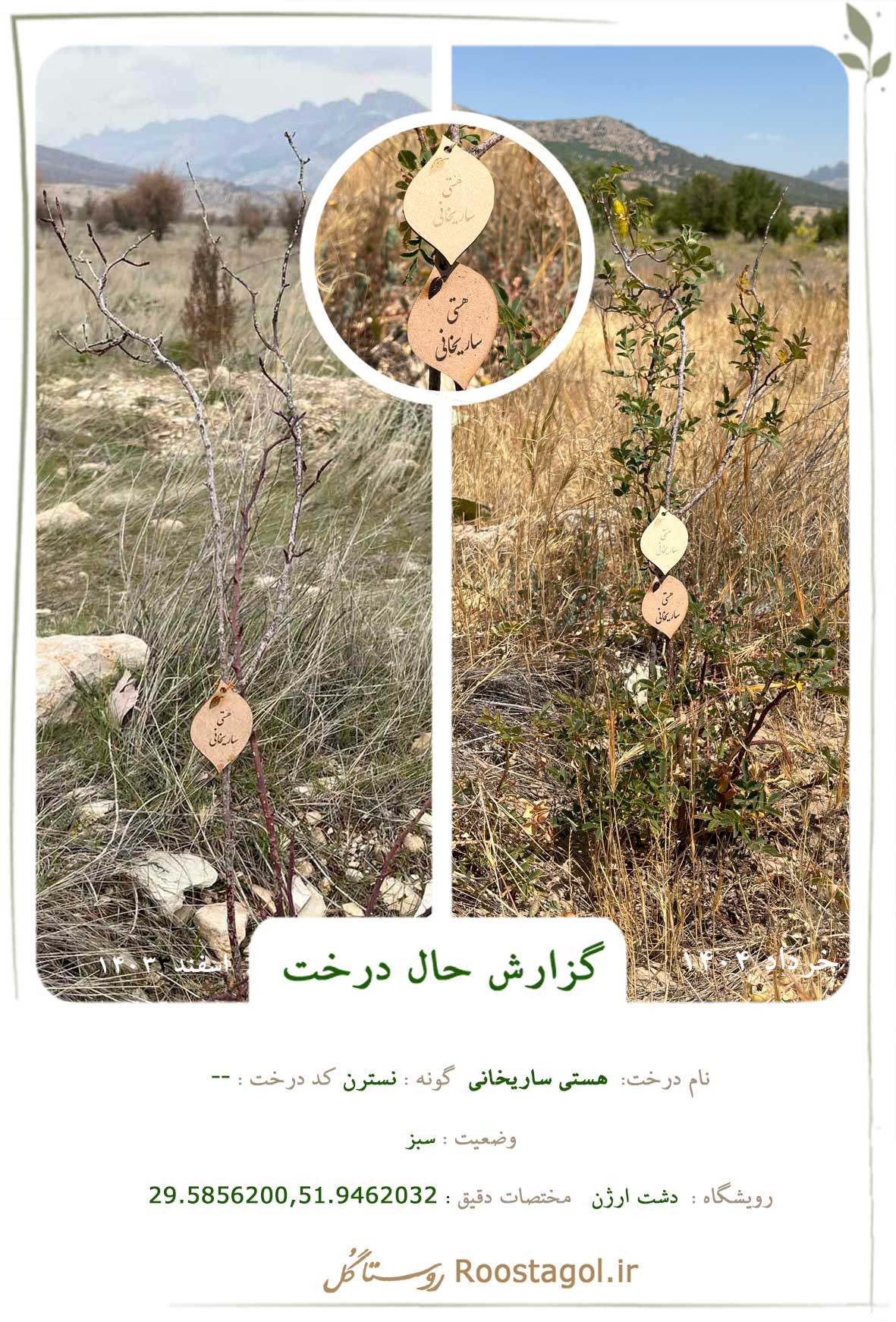  هستی ساریخانی 