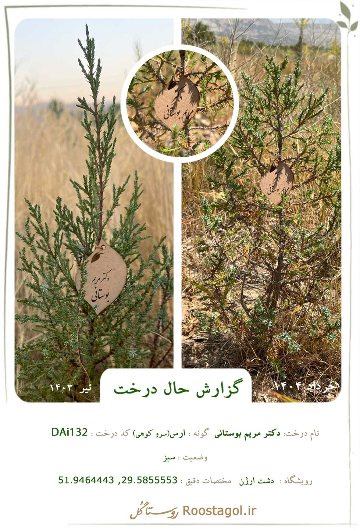 دکتر مریم بوستانی