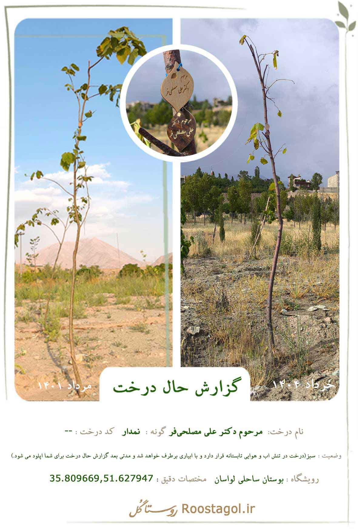  مرحوم دکتر علی مصلحی‌فر