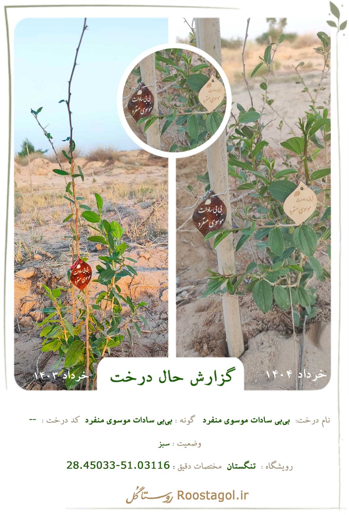 بی‌بی سادات موسوی منفرد