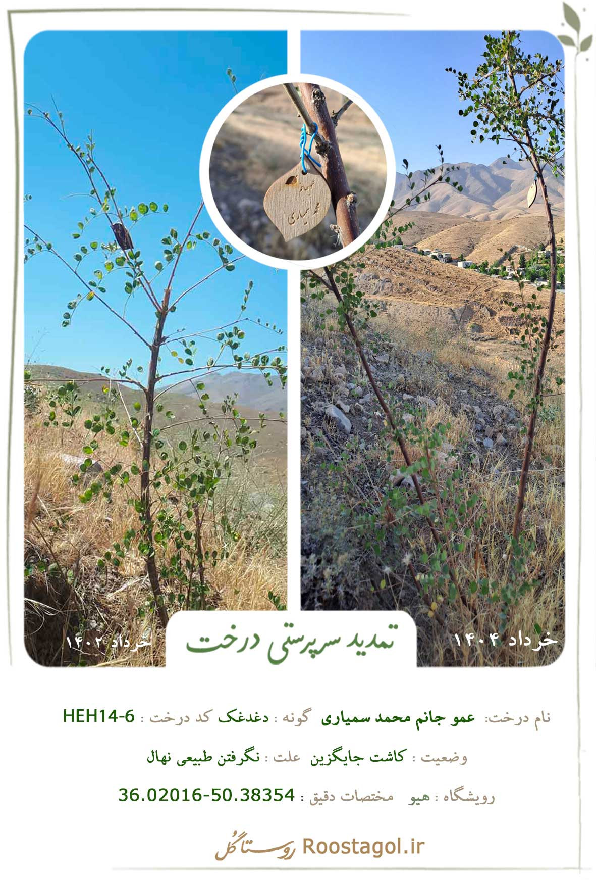  عمو جانم محمد سمیاری