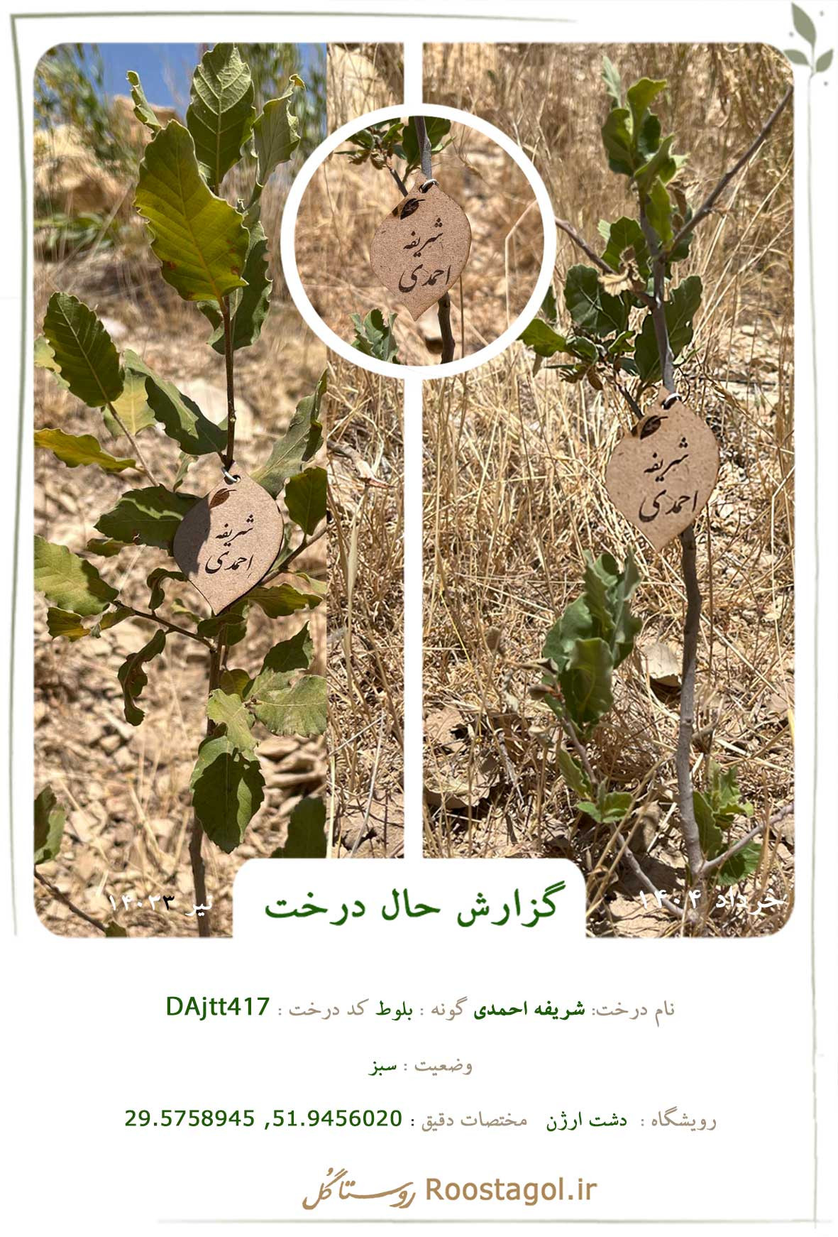 شريفه احمدى