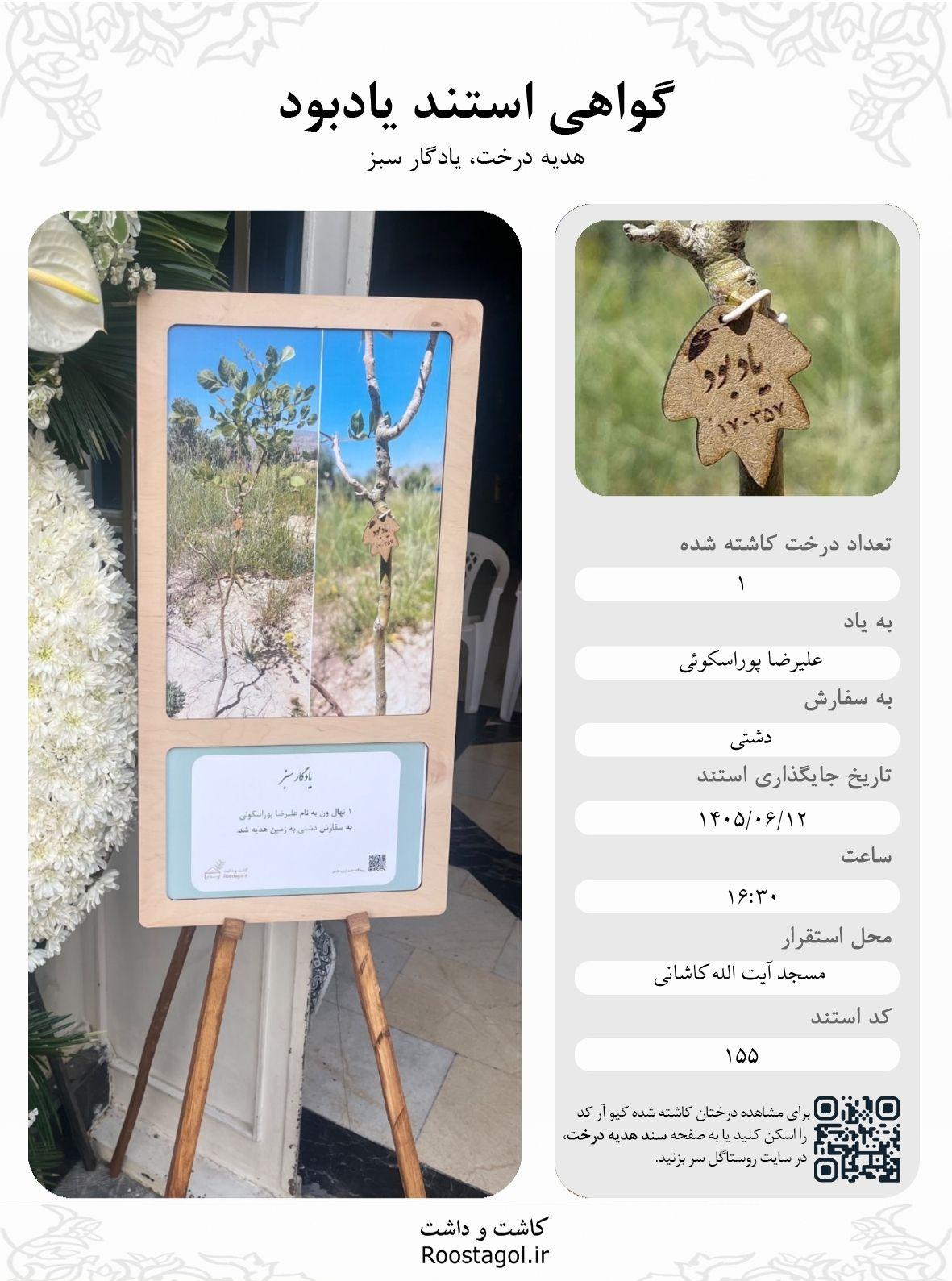 علیرضا پوراسکوئی
