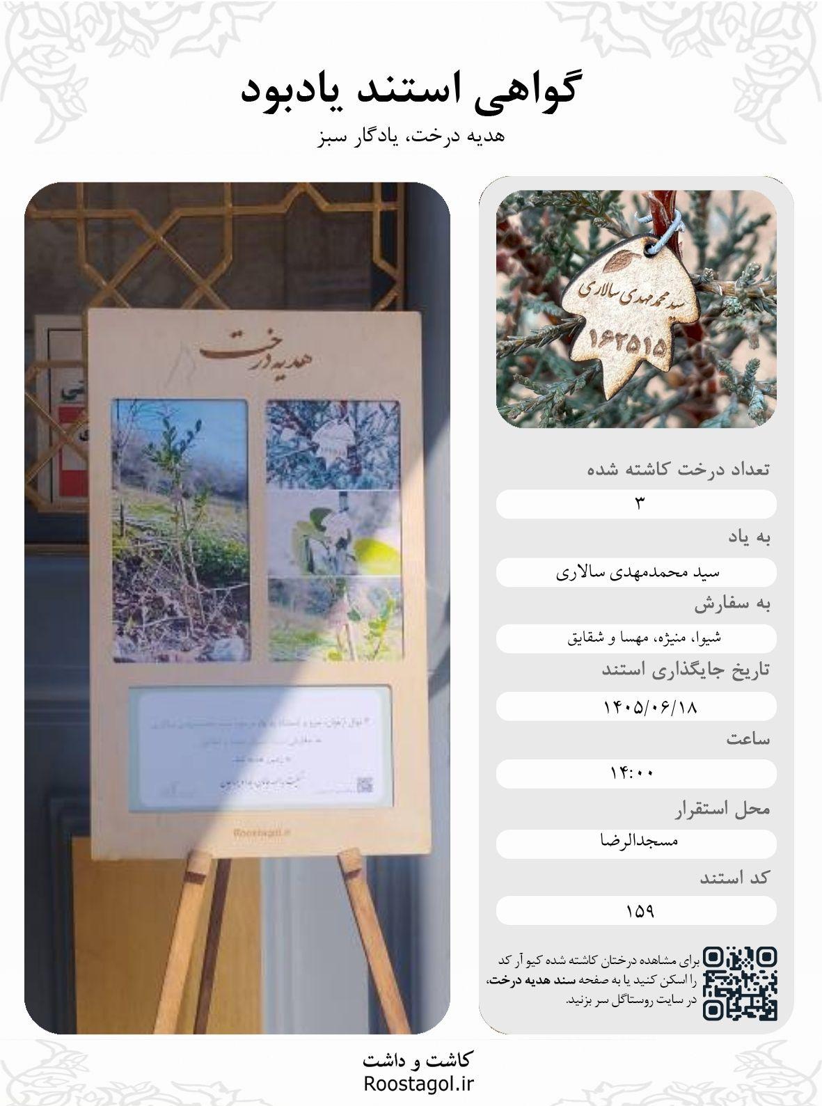 سید محمدمهدی سالاری