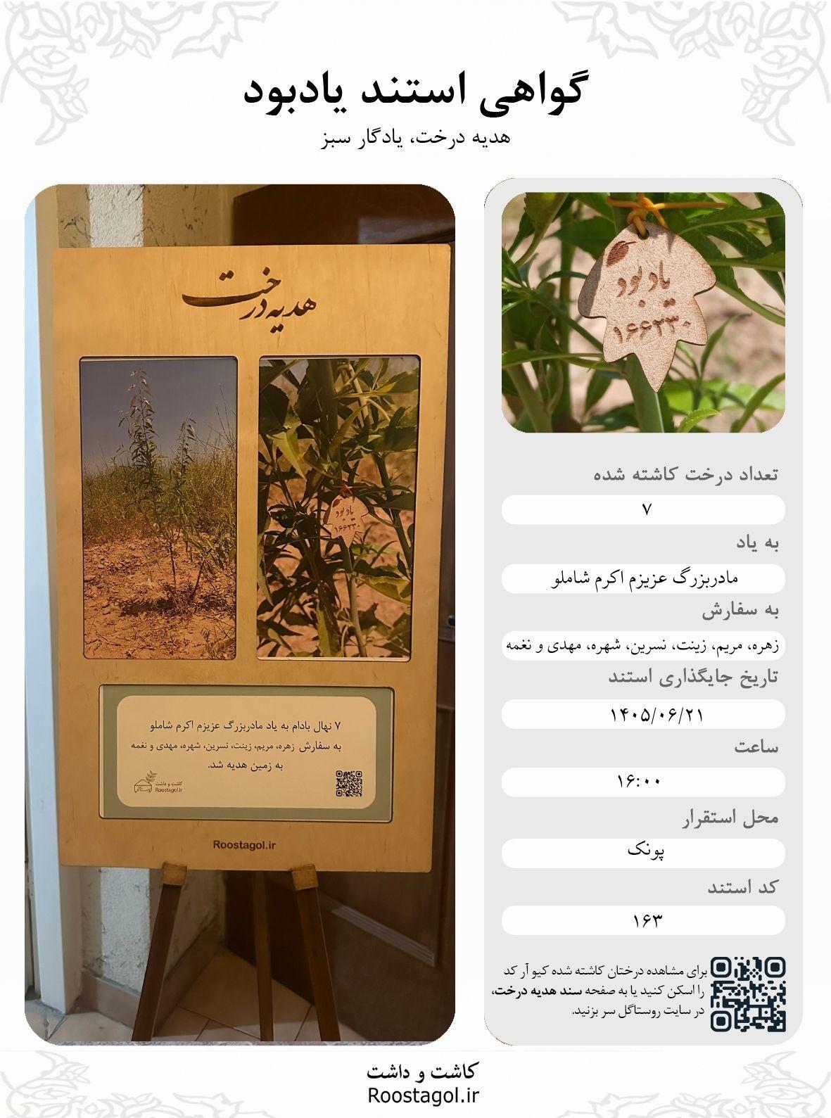 مادربزرگ عزیزم اکرم شاملو