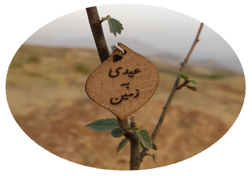 عیدی به زمین
