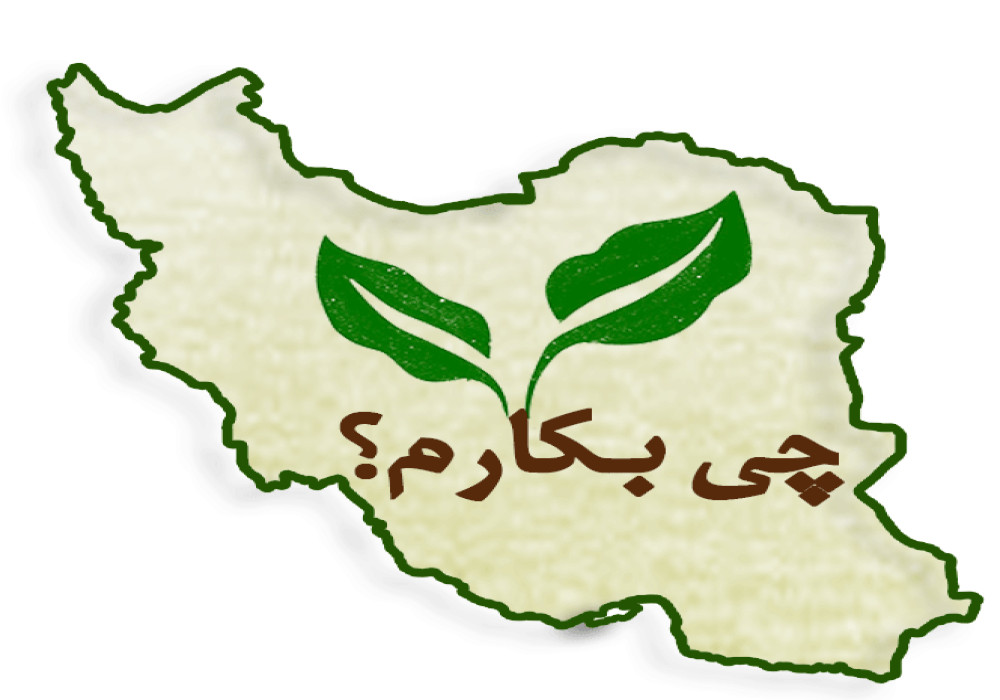 چی بکارم؟