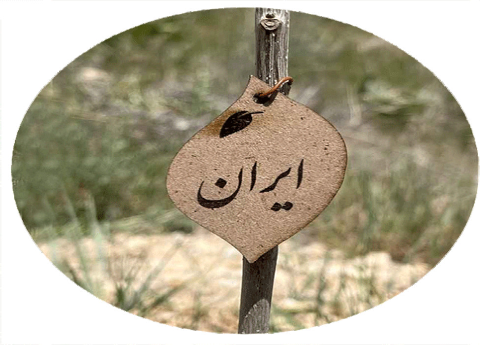 برای ایران